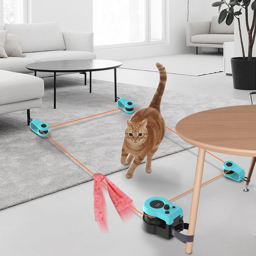 Cat Remote Control Interactive Toy