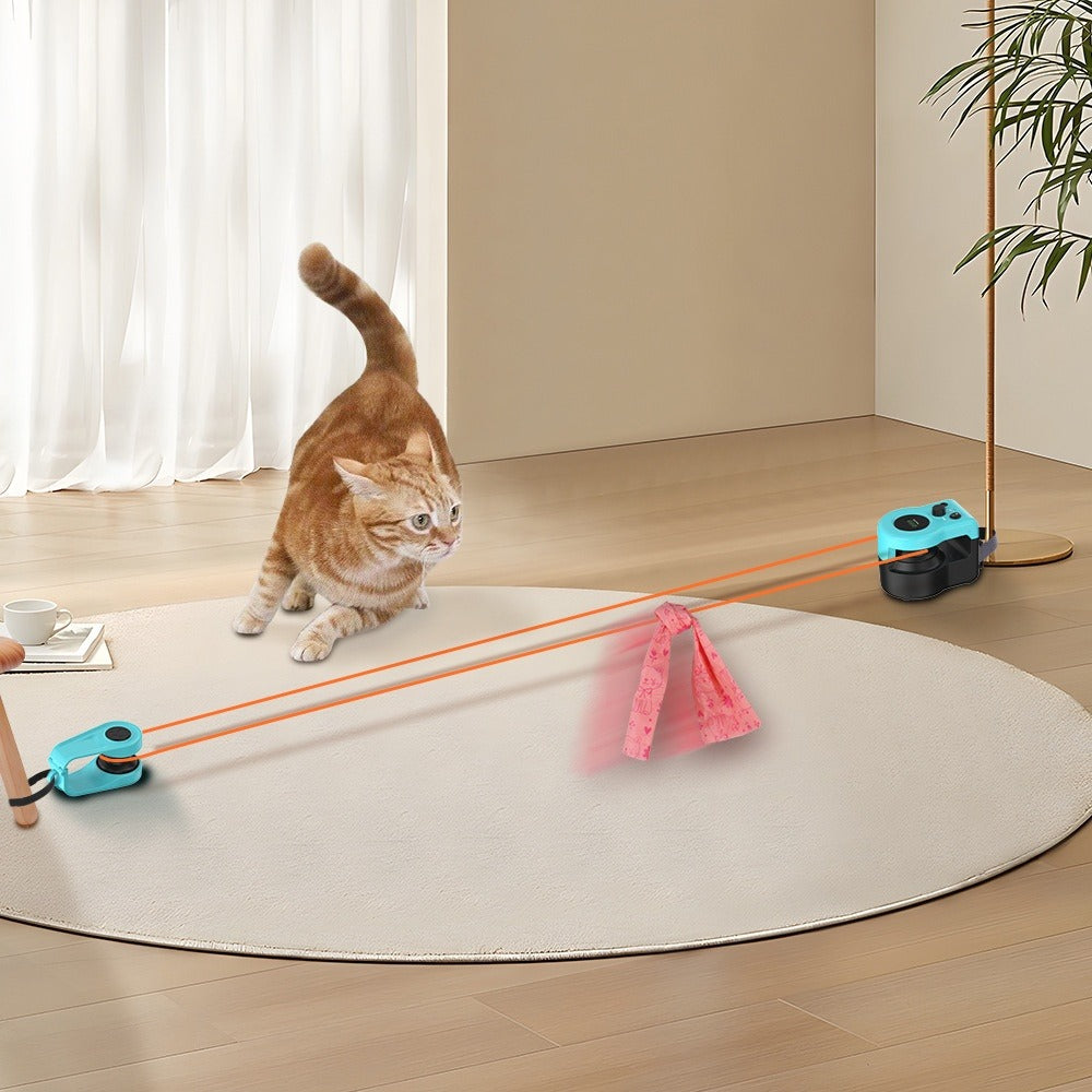 Cat Remote Control Interactive Toy