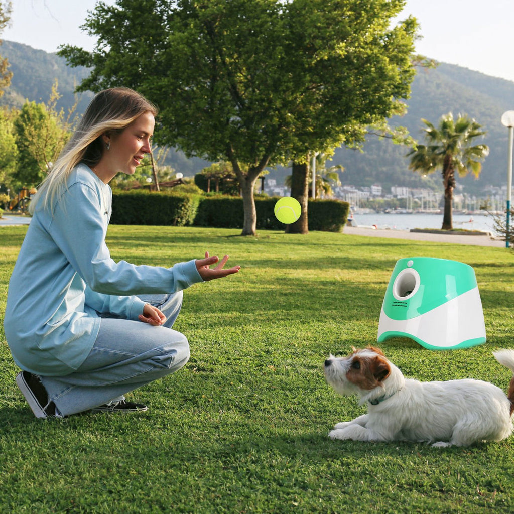 Automatic Dog Ball Launcher with 6 Balls (3 Distance Settings)