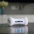 Smart Pet Toy - Crazy Bone Driven Board